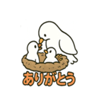 かわいい白鳩スタンプ（個別スタンプ：37）