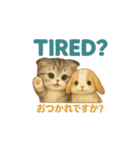 動く猫1（個別スタンプ：9）