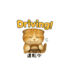 動く猫1（個別スタンプ：11）
