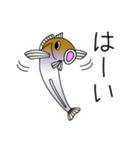鱚彦（きすひこ）くんの日常会話スタンプ（個別スタンプ：3）