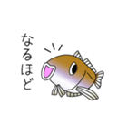 鱚彦（きすひこ）くんの日常会話スタンプ（個別スタンプ：4）