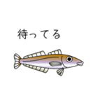 鱚彦（きすひこ）くんの日常会話スタンプ（個別スタンプ：9）