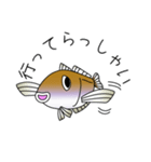 鱚彦（きすひこ）くんの日常会話スタンプ（個別スタンプ：12）