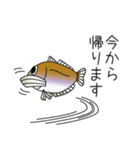 鱚彦（きすひこ）くんの日常会話スタンプ（個別スタンプ：13）