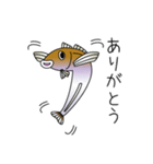 鱚彦（きすひこ）くんの日常会話スタンプ（個別スタンプ：16）