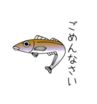 鱚彦（きすひこ）くんの日常会話スタンプ（個別スタンプ：17）