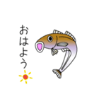鱚彦（きすひこ）くんの日常会話スタンプ（個別スタンプ：19）