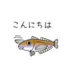 鱚彦（きすひこ）くんの日常会話スタンプ（個別スタンプ：20）