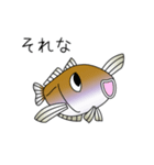 鱚彦（きすひこ）くんの日常会話スタンプ（個別スタンプ：34）