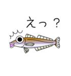 鱚彦（きすひこ）くんの日常会話スタンプ（個別スタンプ：35）