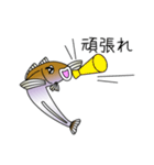 鱚彦（きすひこ）くんの日常会話スタンプ（個別スタンプ：38）