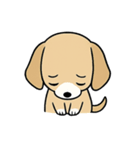 わが家のポチ太のスタンプ（個別スタンプ：3）