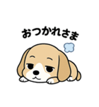 わが家のポチ太のスタンプ（個別スタンプ：5）