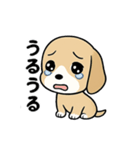 わが家のポチ太のスタンプ（個別スタンプ：6）