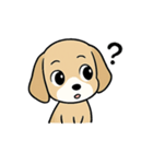 わが家のポチ太のスタンプ（個別スタンプ：8）