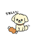 ちわぷーのクレア。（個別スタンプ：8）