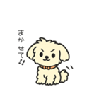 ちわぷーのクレア。（個別スタンプ：10）
