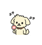 ちわぷーのクレア。（個別スタンプ：11）