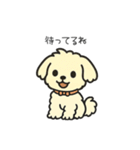 ちわぷーのクレア。（個別スタンプ：16）