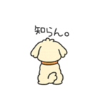 ちわぷーのクレア。（個別スタンプ：17）