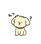 ちわぷーのクレア。（個別スタンプ：18）