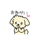ちわぷーのクレア。（個別スタンプ：19）