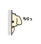 ちわぷーのクレア。（個別スタンプ：20）