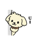 ちわぷーのクレア。（個別スタンプ：21）