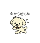ちわぷーのクレア。（個別スタンプ：23）