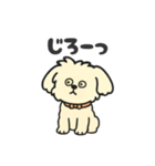 ちわぷーのクレア。（個別スタンプ：24）