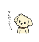 ちわぷーのクレア。（個別スタンプ：25）