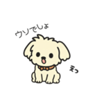 ちわぷーのクレア。（個別スタンプ：26）