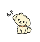 ちわぷーのクレア。（個別スタンプ：28）