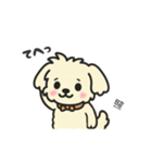 ちわぷーのクレア。（個別スタンプ：32）