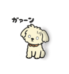 ちわぷーのクレア。（個別スタンプ：33）
