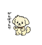 ちわぷーのクレア。（個別スタンプ：36）