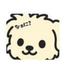 ちわぷーのクレア。（個別スタンプ：37）