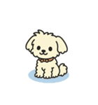 ちわぷーのクレア。（個別スタンプ：40）