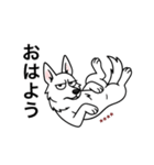 名前入りホワイトシェパード（個別スタンプ：1）