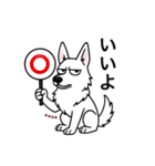 名前入りホワイトシェパード（個別スタンプ：4）
