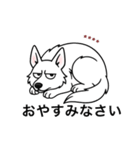 名前入りホワイトシェパード（個別スタンプ：9）