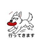 名前入りホワイトシェパード（個別スタンプ：11）