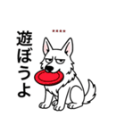 名前入りホワイトシェパード（個別スタンプ：14）