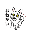 名前入りホワイトシェパード（個別スタンプ：15）
