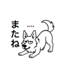 名前入りホワイトシェパード（個別スタンプ：17）