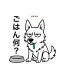 名前入りホワイトシェパード（個別スタンプ：22）