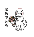 名前入りホワイトシェパード（個別スタンプ：24）