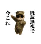 踊る！今これ軍人にゃんこ（個別スタンプ：2）