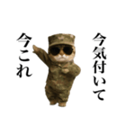 踊る！今これ軍人にゃんこ（個別スタンプ：3）