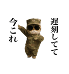 踊る！今これ軍人にゃんこ（個別スタンプ：4）